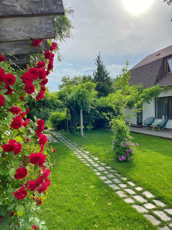 Garden House * Timişoara