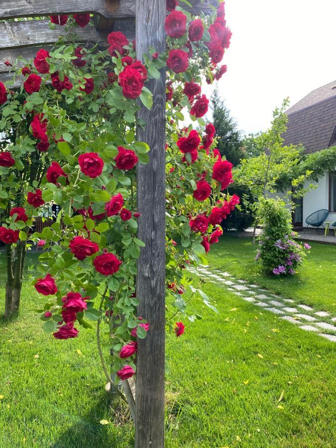 Apartment Garden House