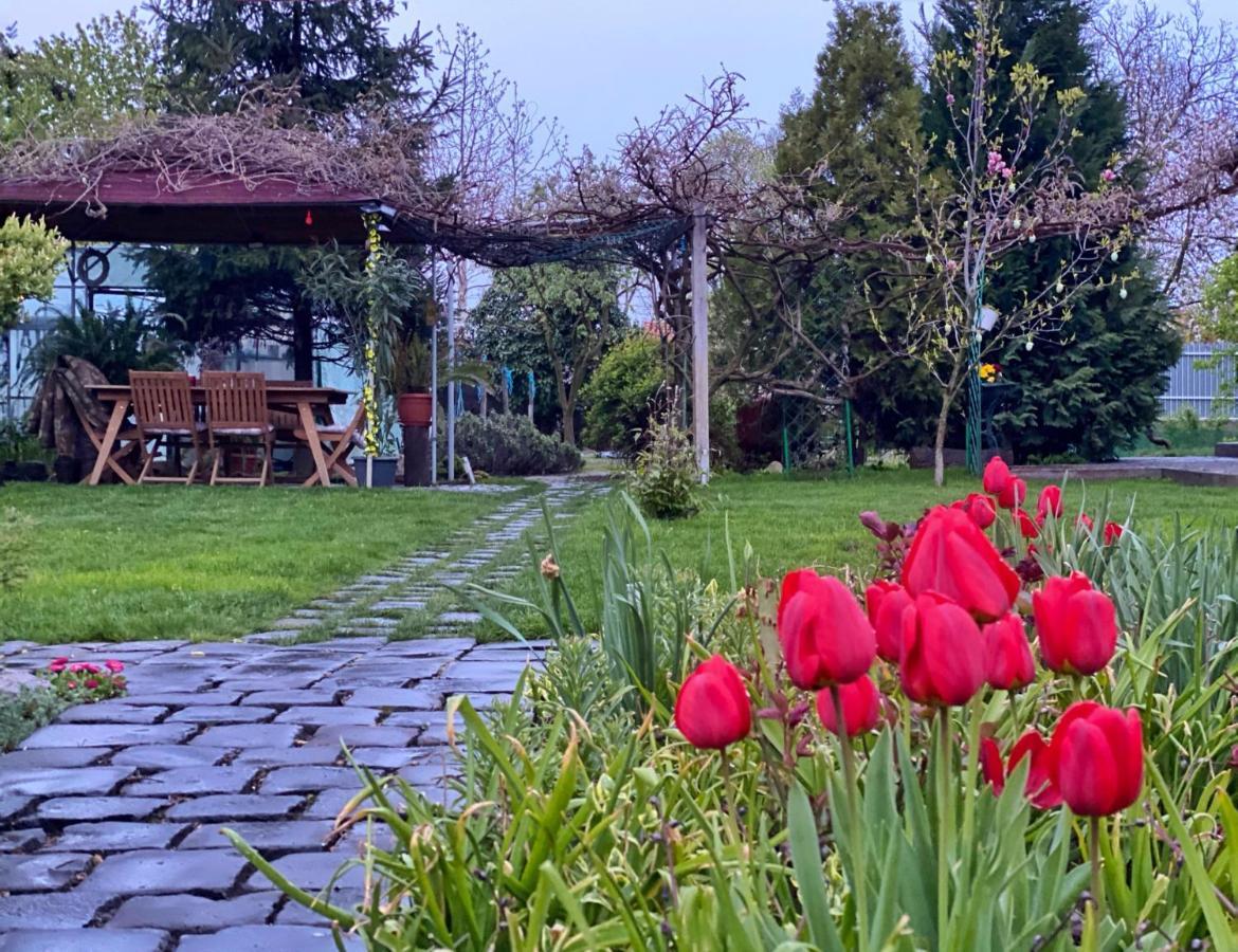 Garden House Timişoara