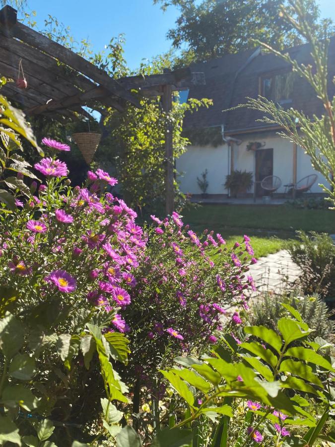Garden House Timişoara