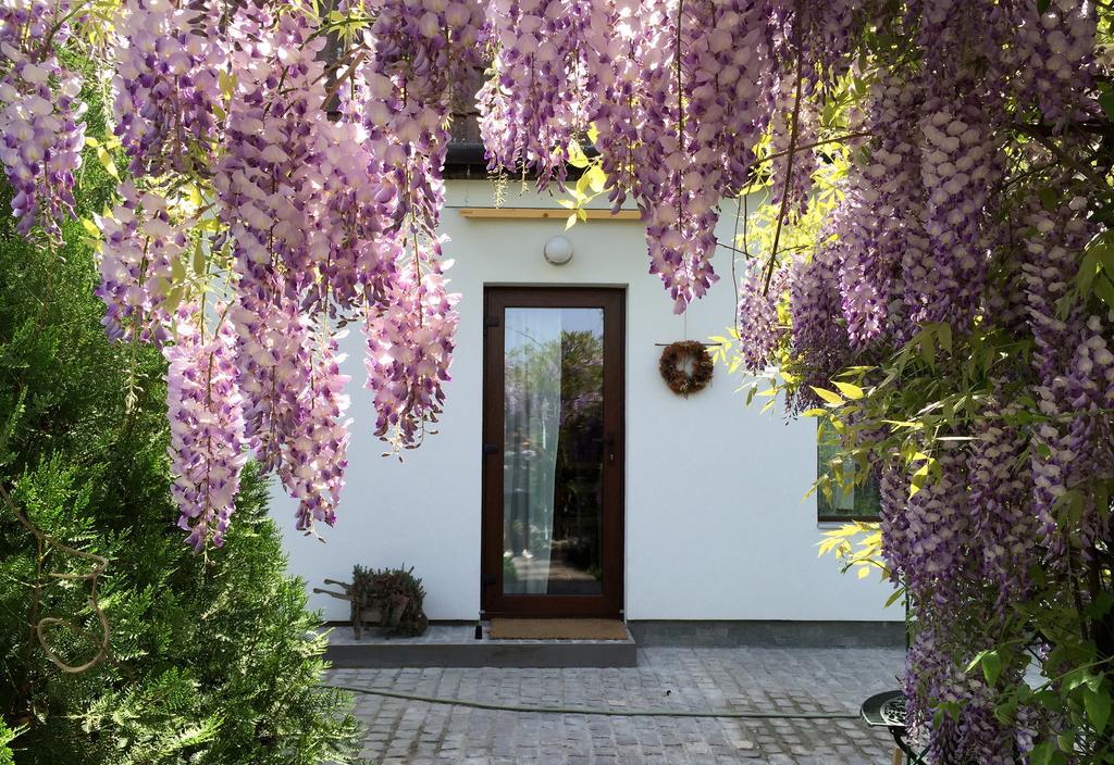 Apartment Garden House *