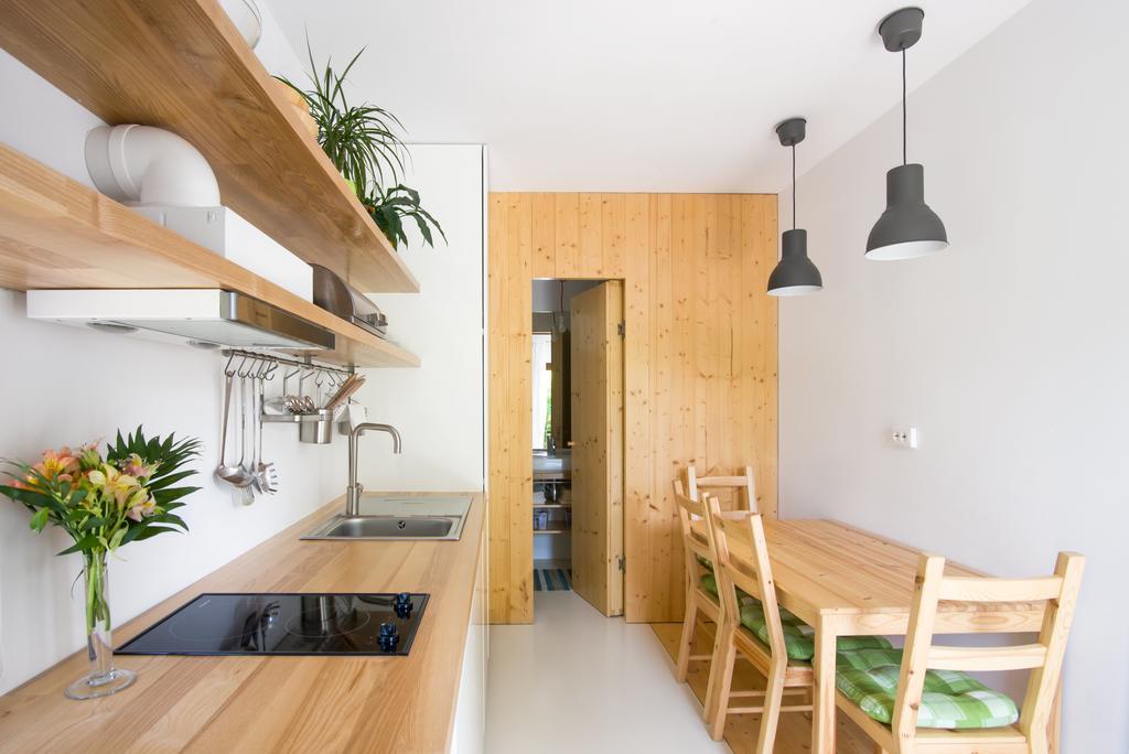 Apartment Garden House Timişoara