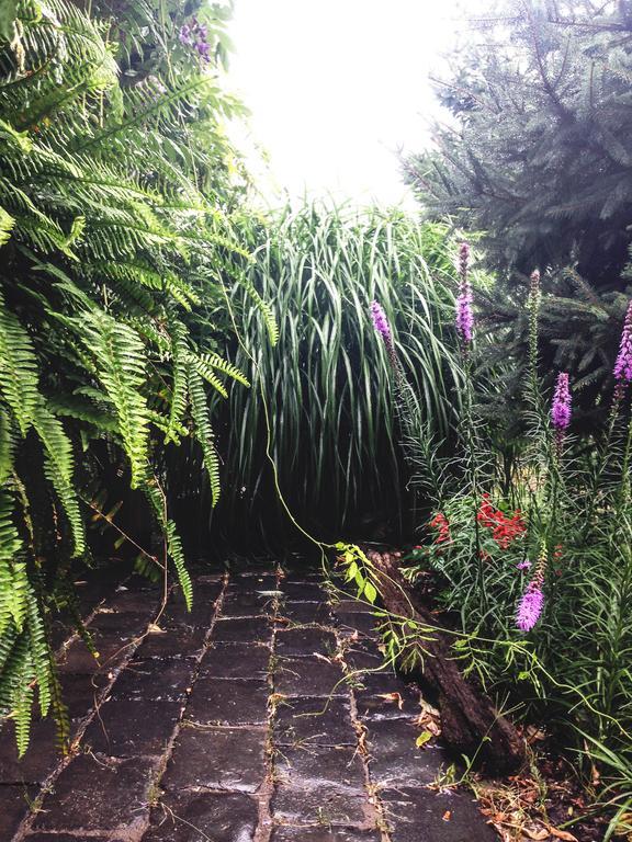 Apartment Garden House
