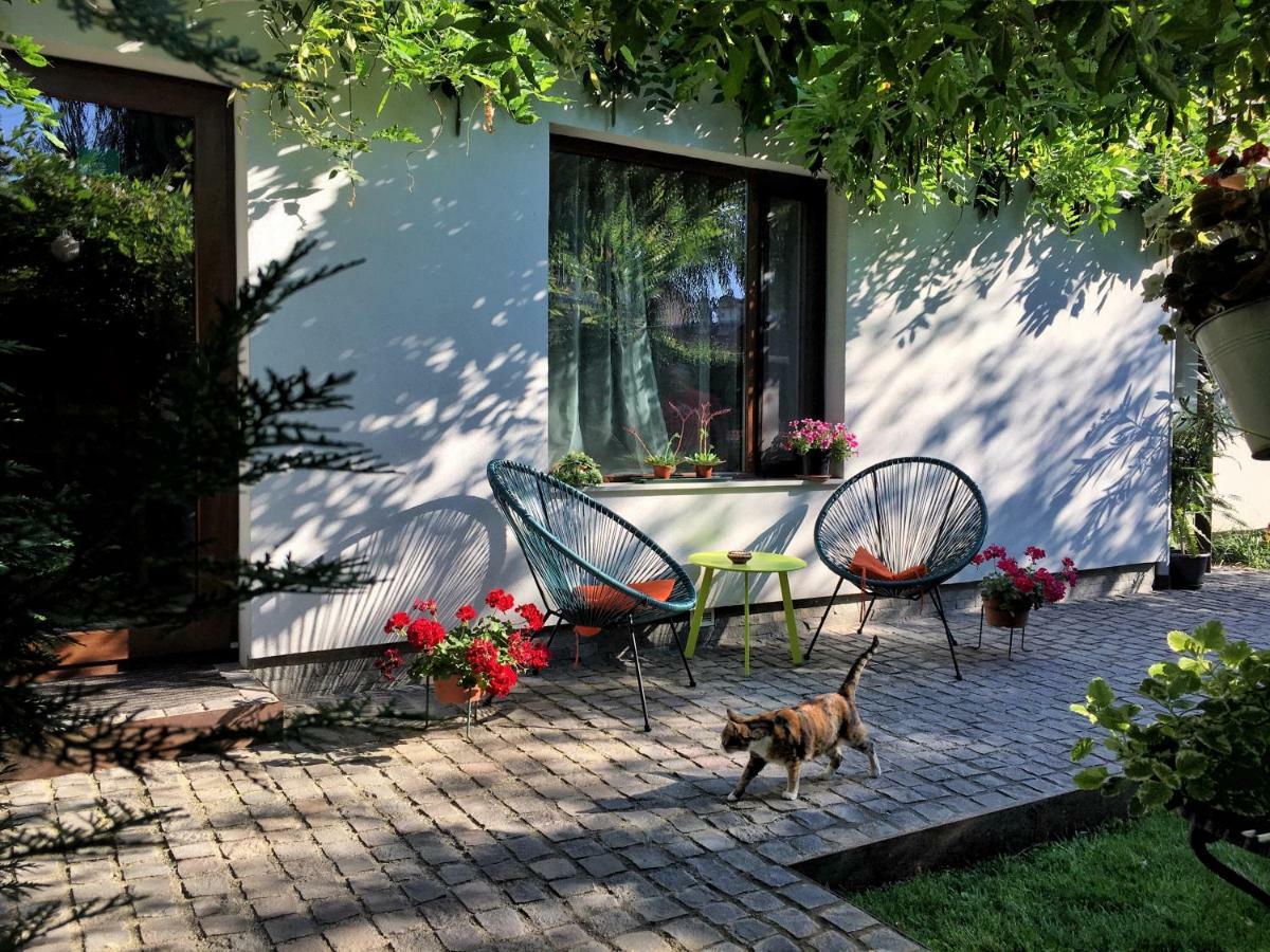 Apartment Garden House Timişoara
