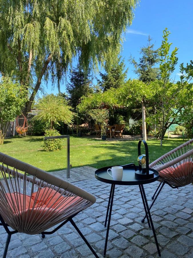 Garden House Timisoara