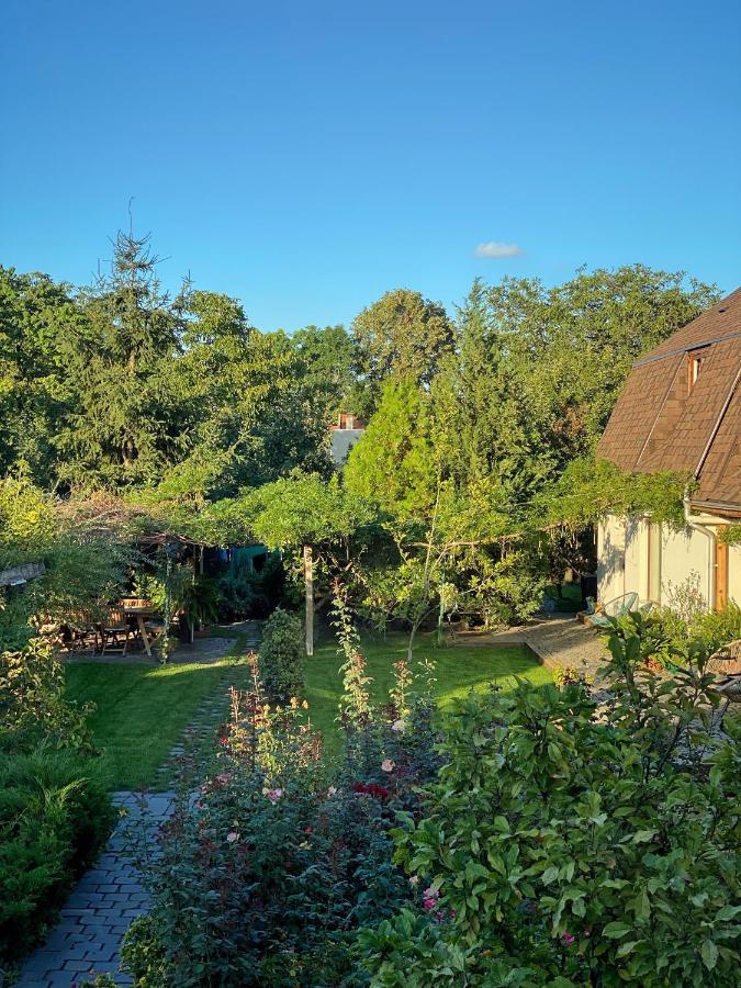 Apartment Garden House Timisoara